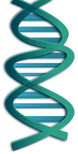 dna